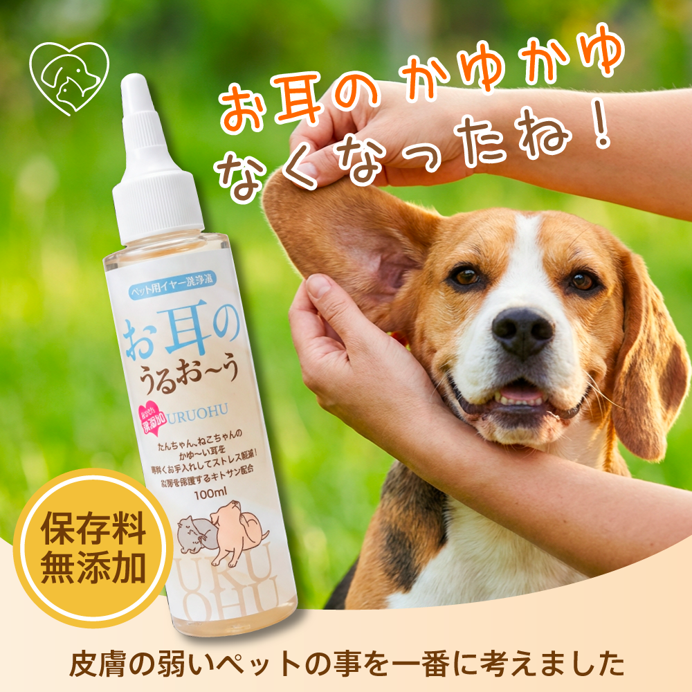 新商品発売